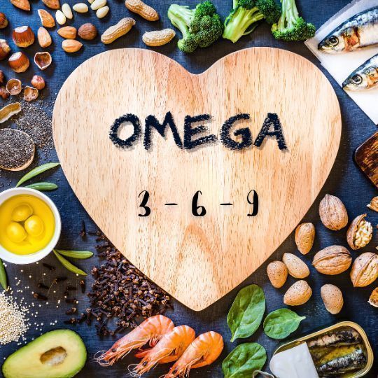 ¿Qué son los ácidos grasos Omega 3, 6 y 9?