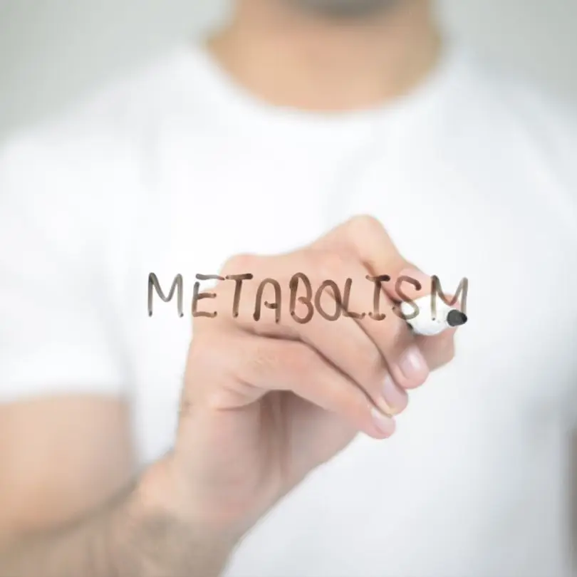 Cómo acelerar el metabolismo basal para perder peso