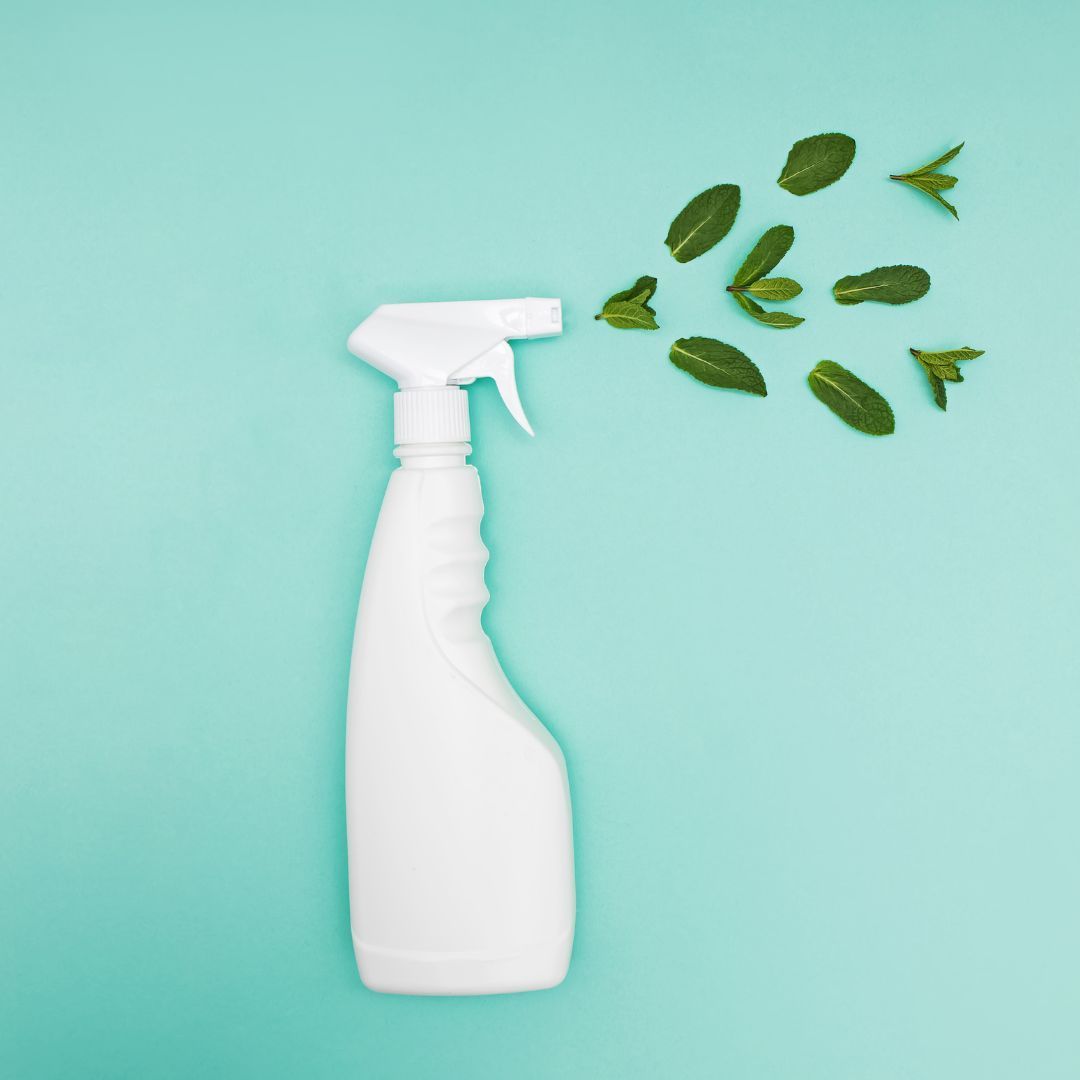Cómo limpiar las hojas de las plantas con jabón Lagarto, leche y agua