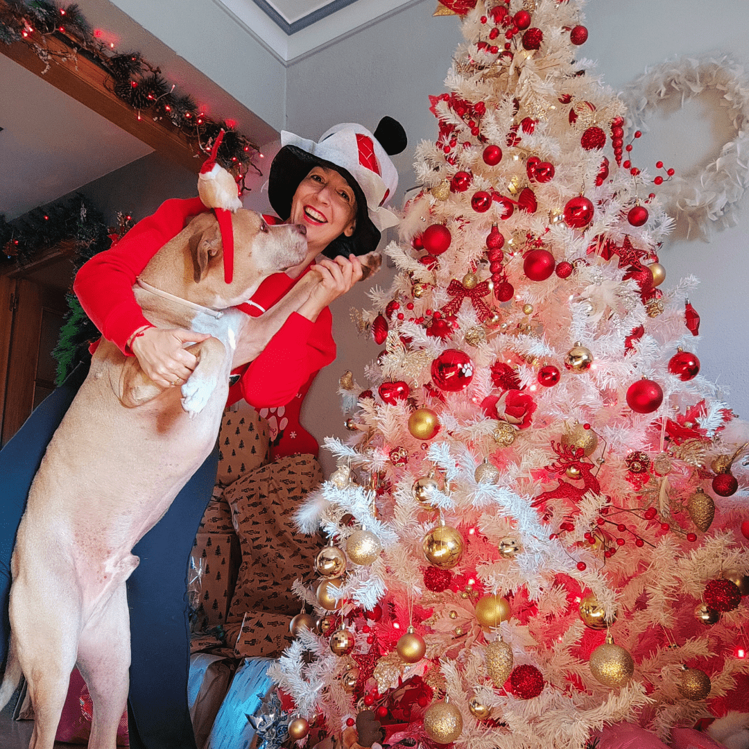 El truco casero para que el árbol artificial no suelte polvo ni pelusa