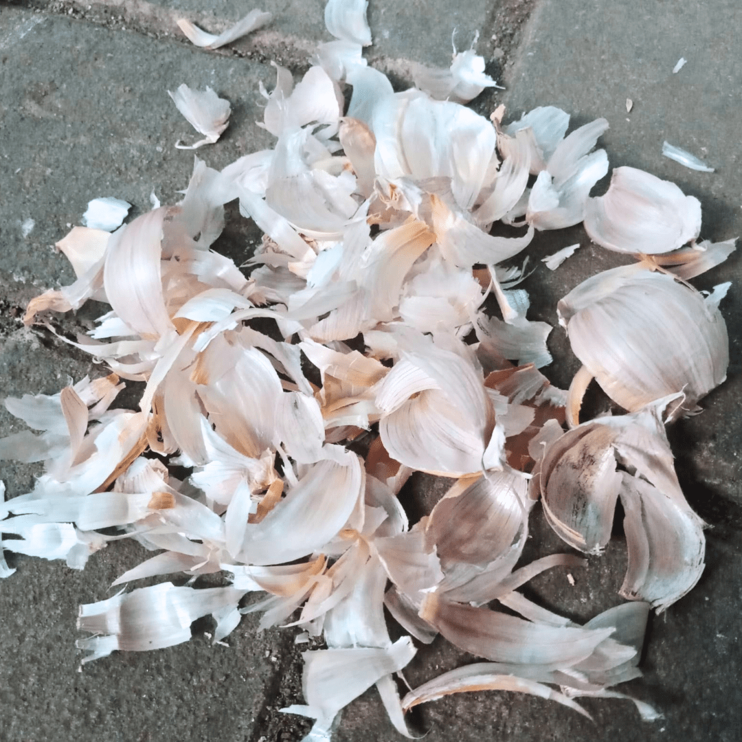 Cáscaras de ajo en esoterismo: usos, rituales y significados