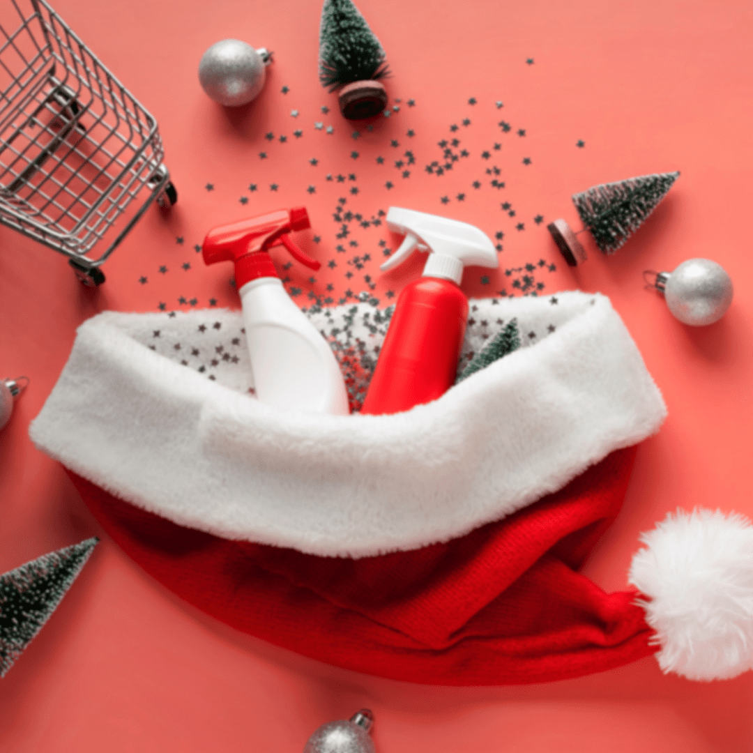 Limpieza post navidad